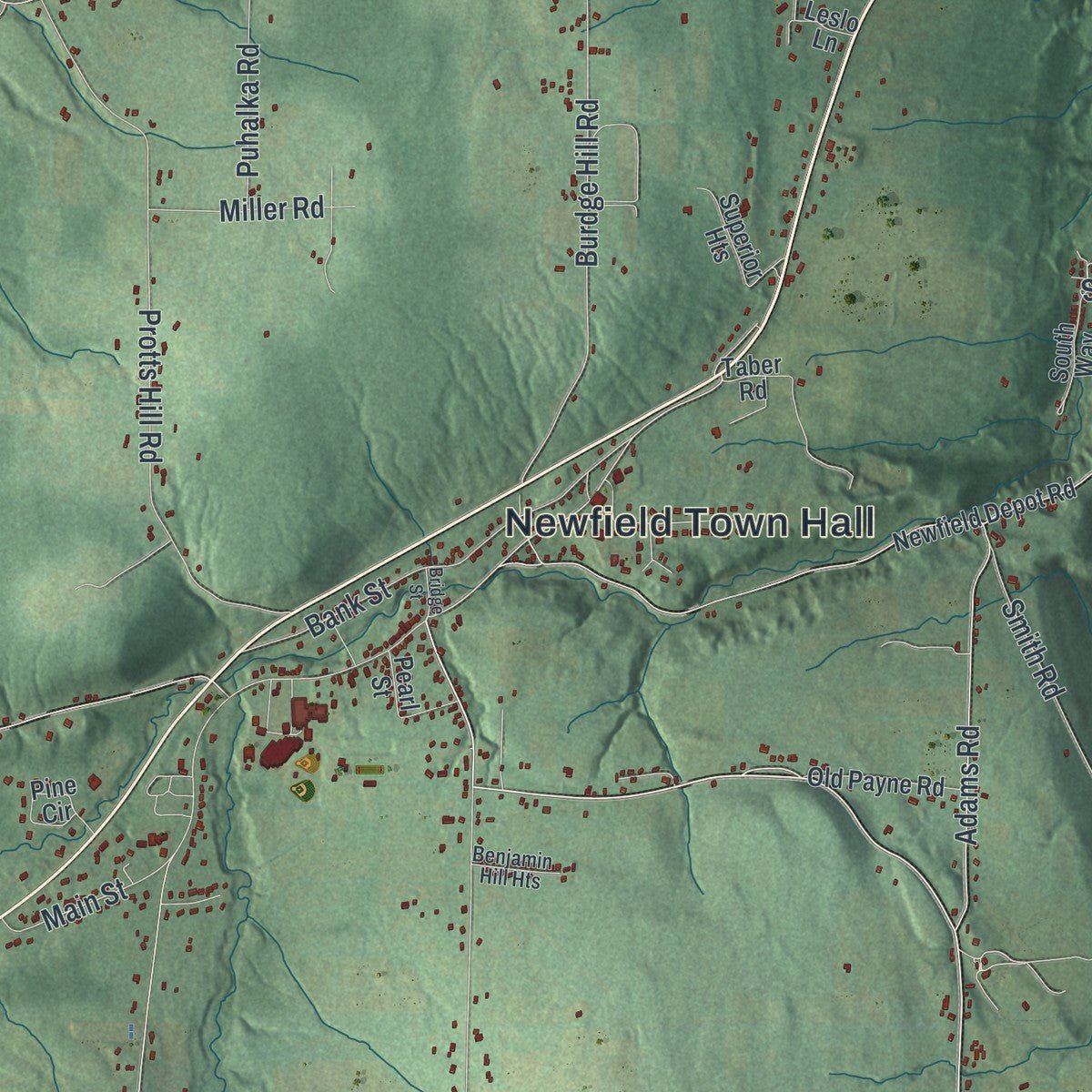 Second close-up of the map of Newfield, New York print showing more streets and buildings