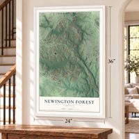 Newington Forest, Virginia map, 24 x 36 inch print in a white frame by a staircase