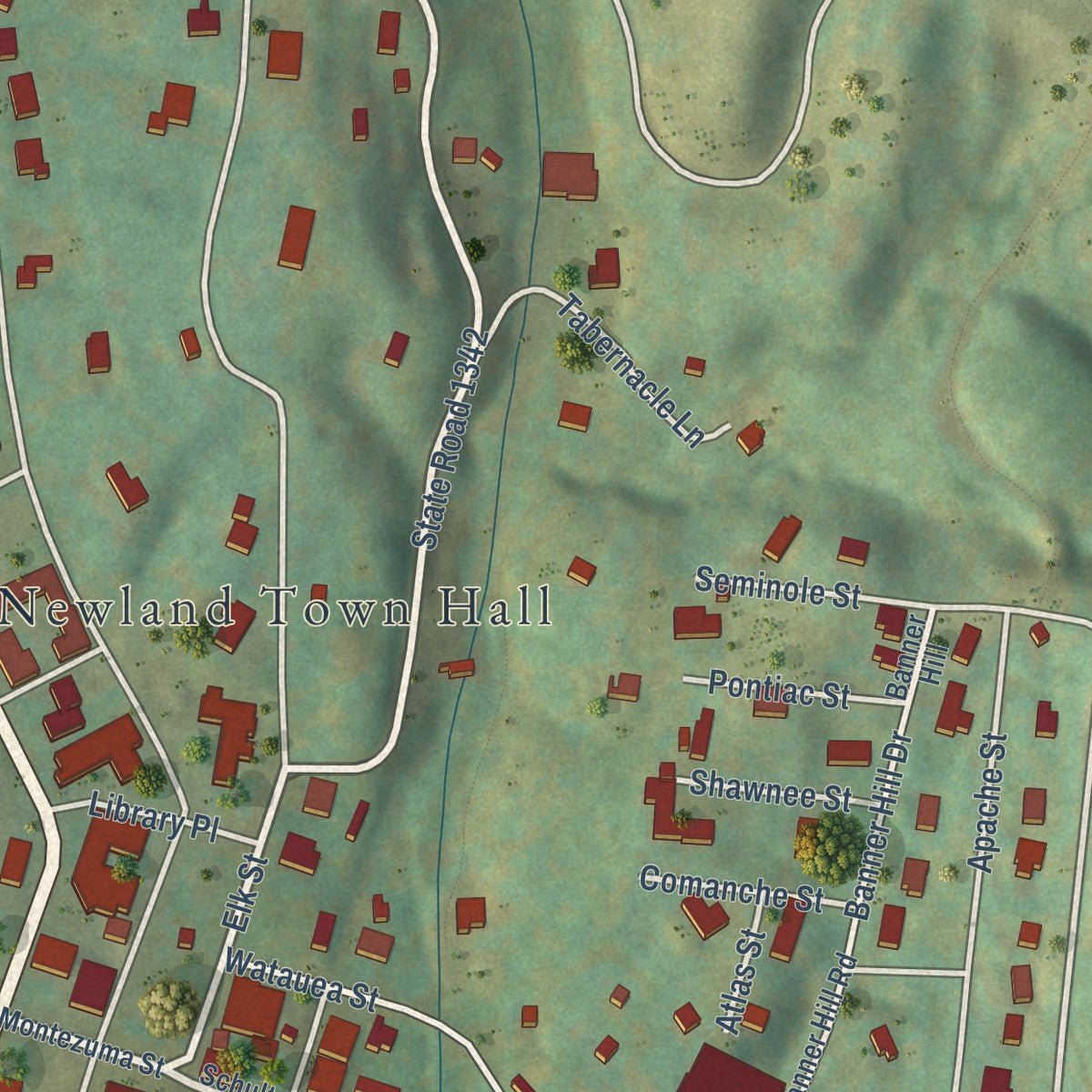 Second close-up of the map of Newland, North Carolina print showing more streets and buildings