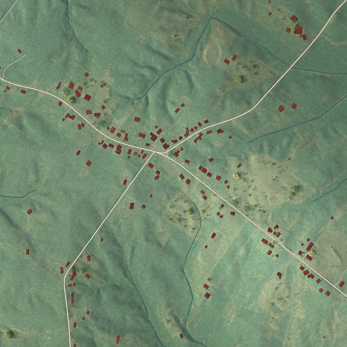 Second close-up of the map of Niagara, Kentucky print showing more streets and buildings