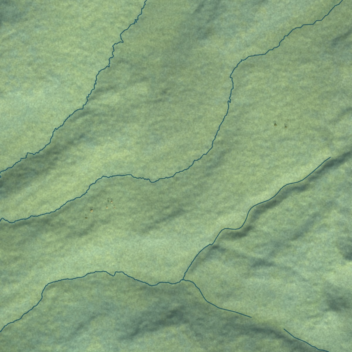 Second close-up of the map of Nikolaevsk, Alaska print showing more streets and buildings