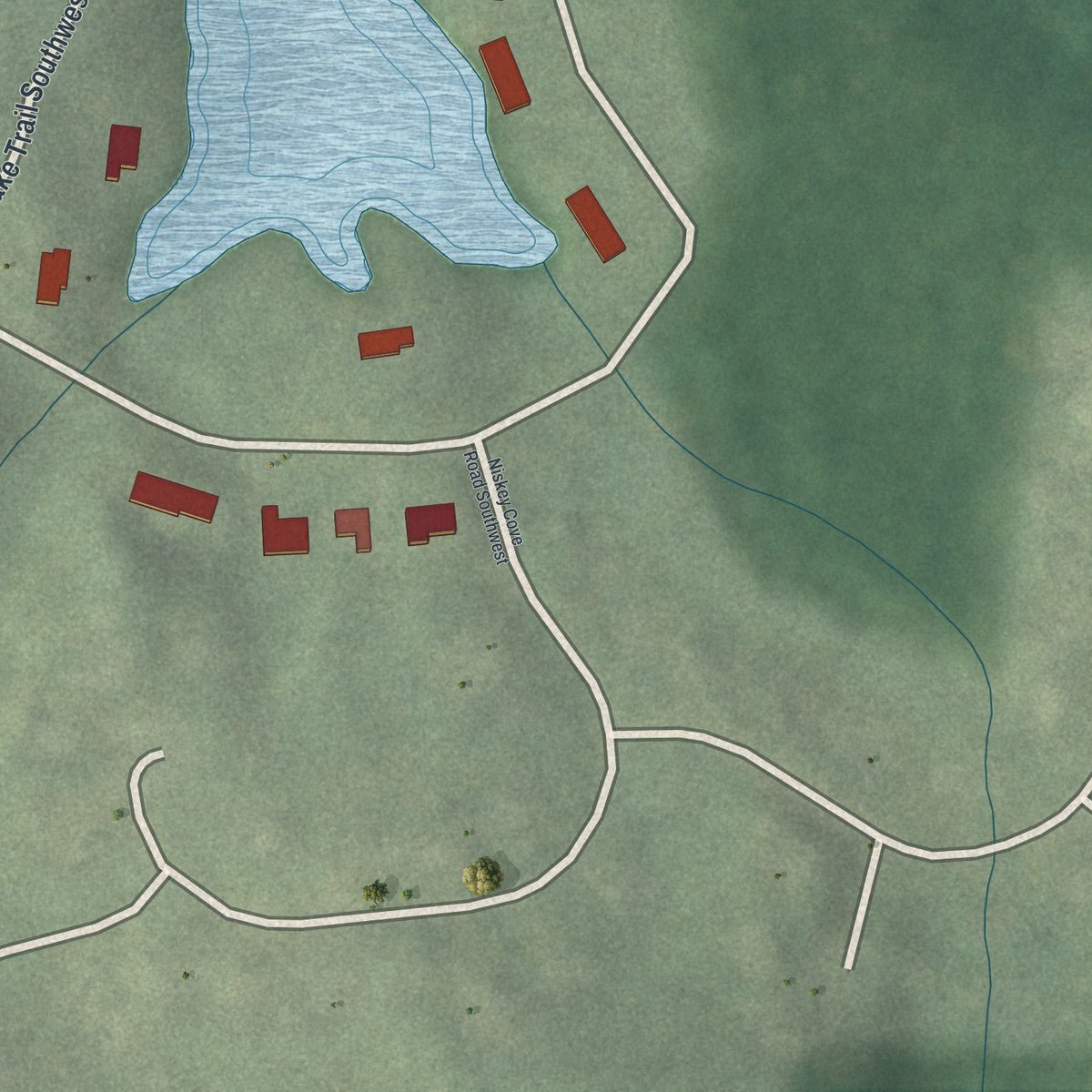 Second close-up of the map of Niskey Lake, Georgia print showing more streets and buildings
