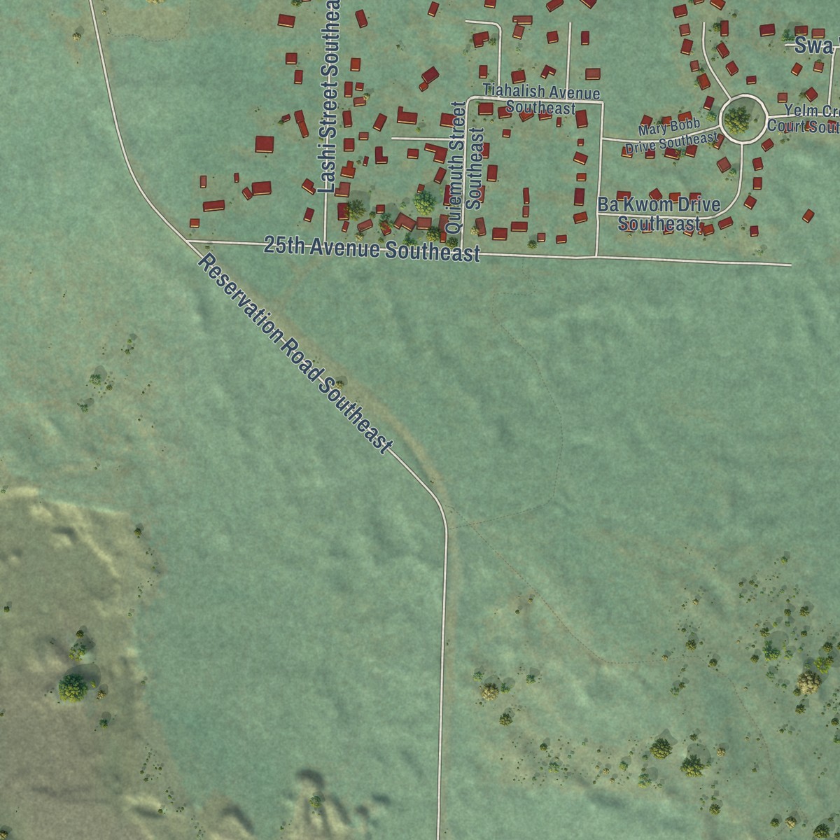 Second close-up of the map of Nisqually Indian Community, Washington print showing more streets and buildings