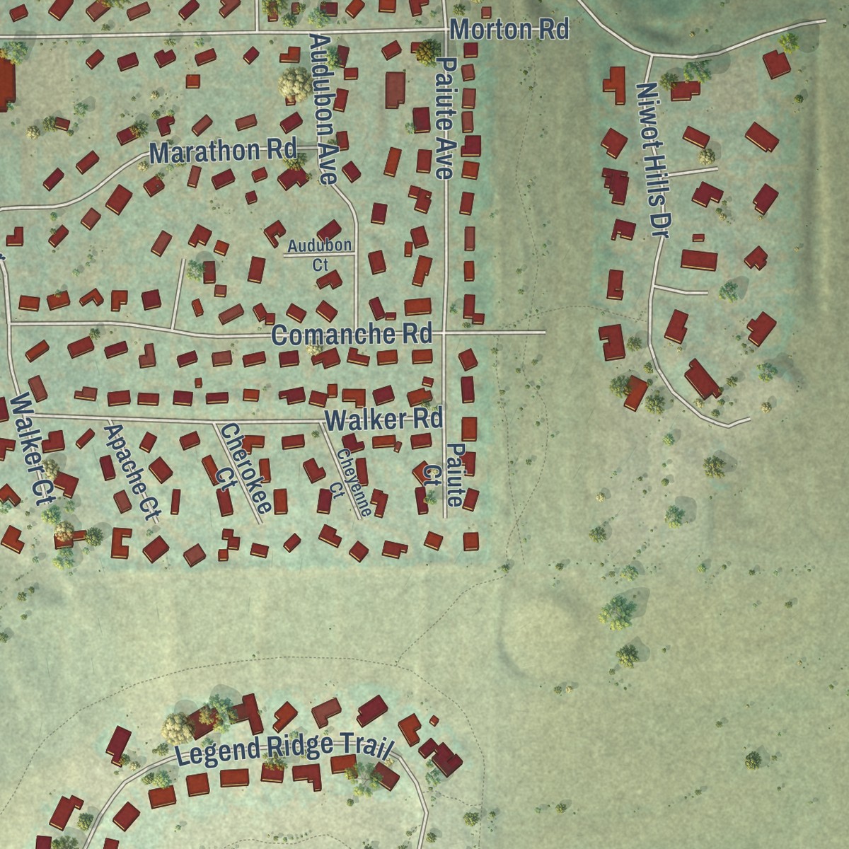 Second close-up of the map of Niwot, Colorado print showing more streets and buildings