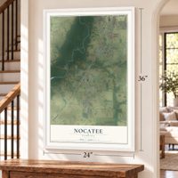 Nocatee, DeSoto County, Florida map, 24 x 36 inch print in a white frame by a staircase