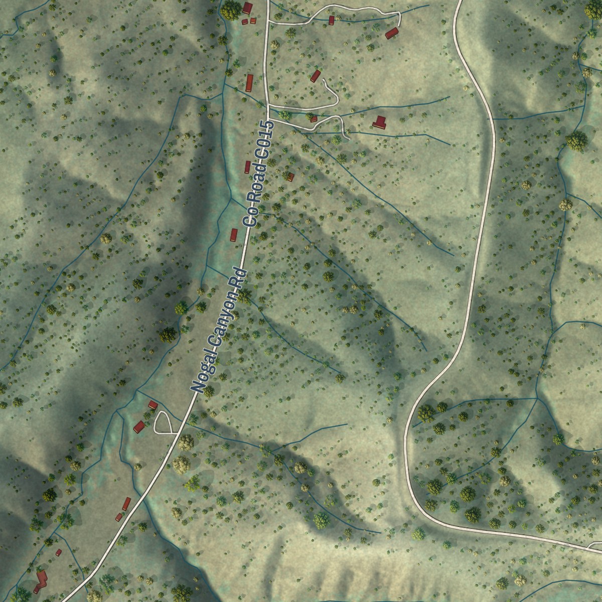 Second close-up of the map of Nogal, New Mexico print showing more streets and buildings