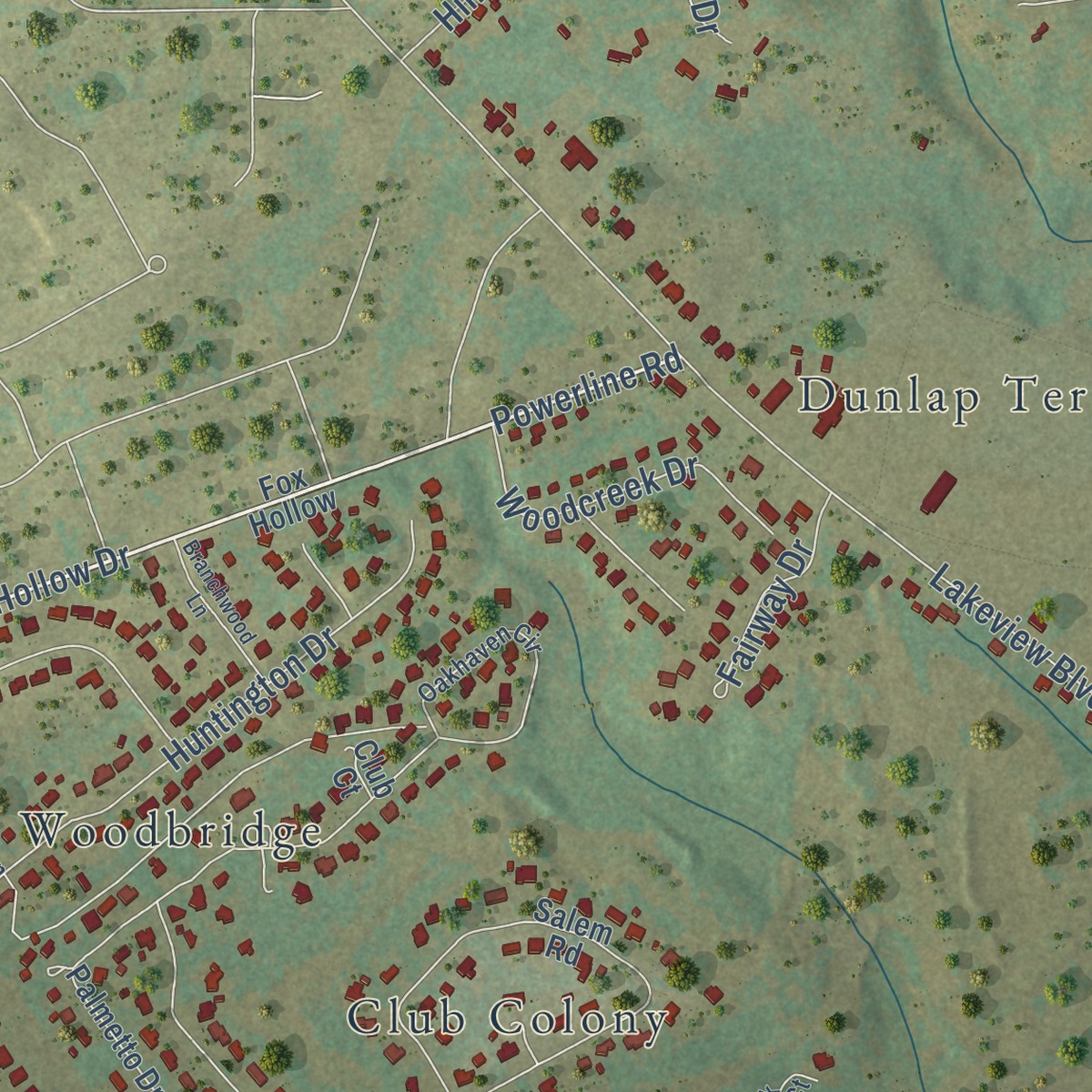 Second close-up of the map of North Hartsville, South Carolina print showing more streets and buildings
