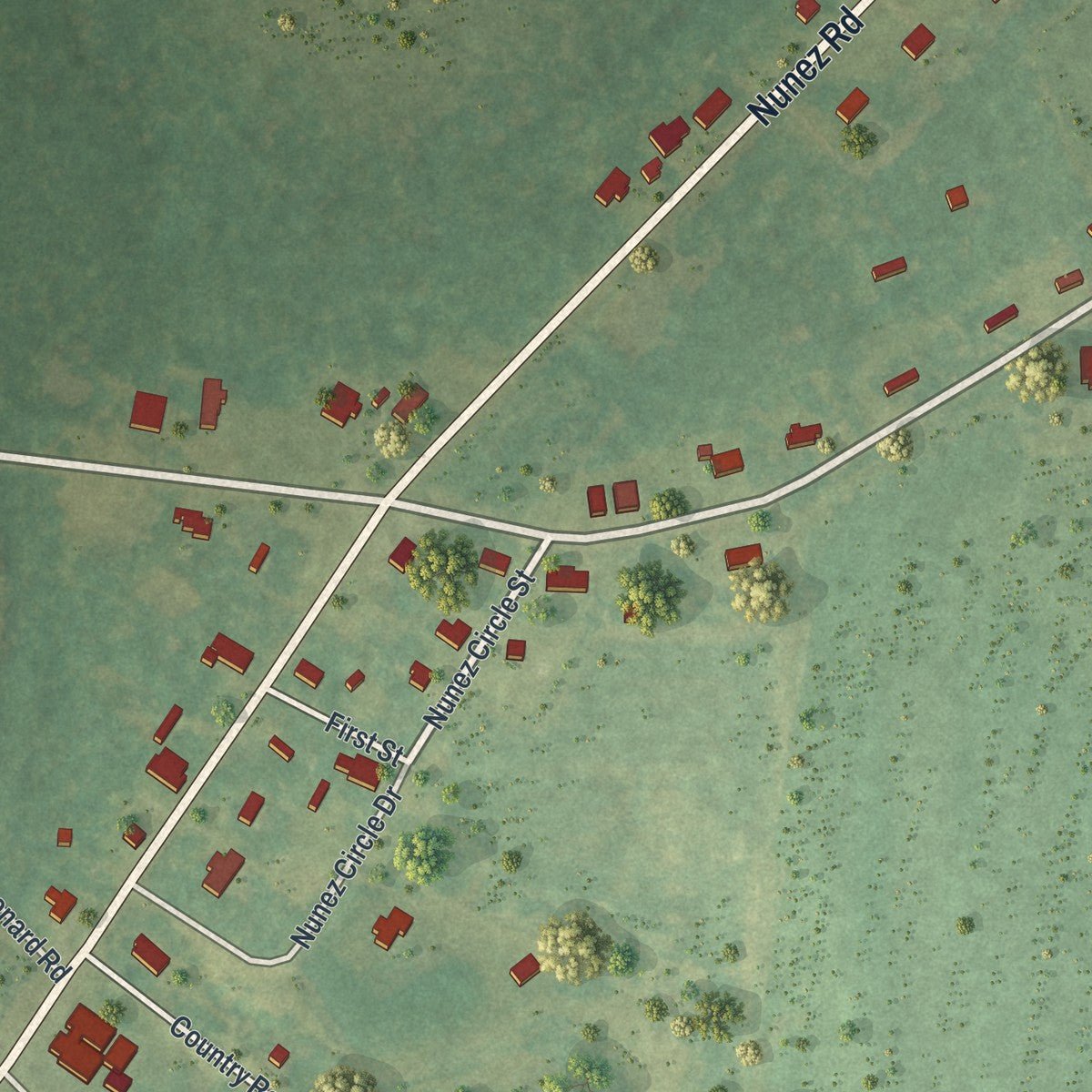 Second close-up of the map of Nunez, Georgia print showing more streets and buildings