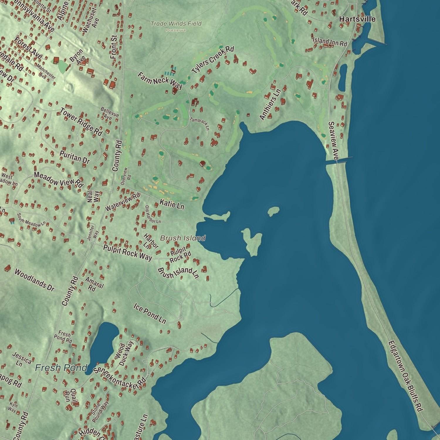 Close-up of the map of Oak Bluffs, Massachusetts print showing terrain and local geography