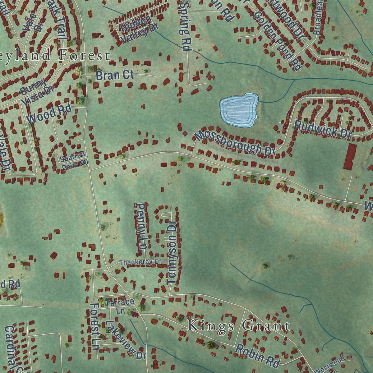 Second close-up of the map of Oak Grove, South Carolina print showing more streets and buildings