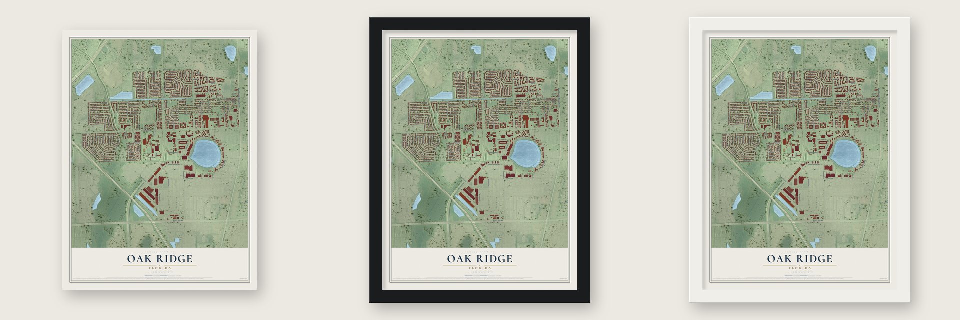 Oak Ridge, Florida map unframed, in a black wood frame and in a white wood frame