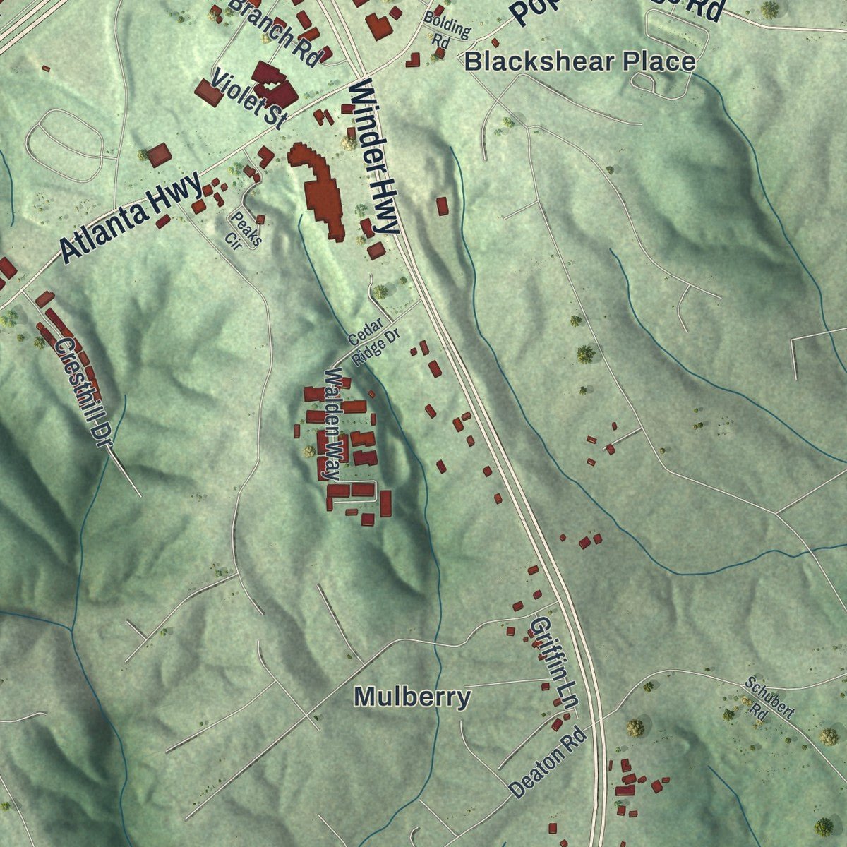 Second close-up of the map of Oakwood, Georgia print showing more streets and buildings