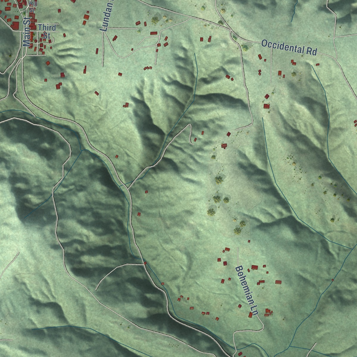 Second close-up of the map of Occidental, California print showing more streets and buildings
