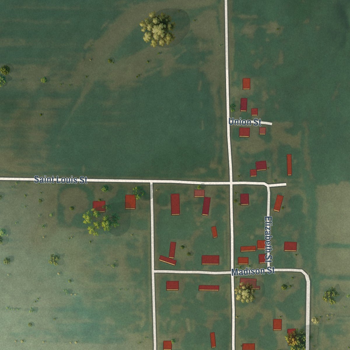 Second close-up of the map of Old Ripley, Illinois print showing more streets and buildings