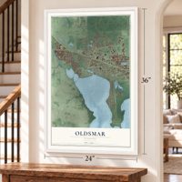 Oldsmar, Florida map, 24 x 36 inch print in a white frame by a staircase