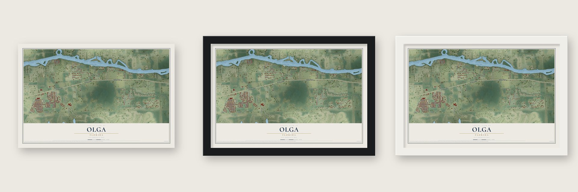 Olga, Florida map unframed, in a black wood frame and in a white wood frame
