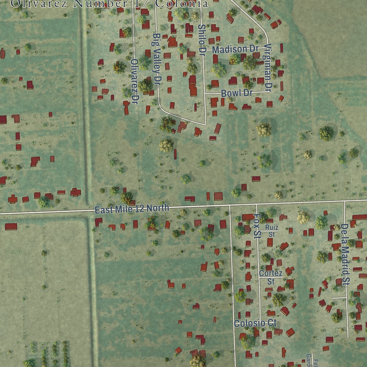 Second close-up of the map of Olivarez, Texas print showing more streets and buildings