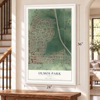 Olmos Park, Texas map, 24 x 36 inch print in a white frame by a staircase