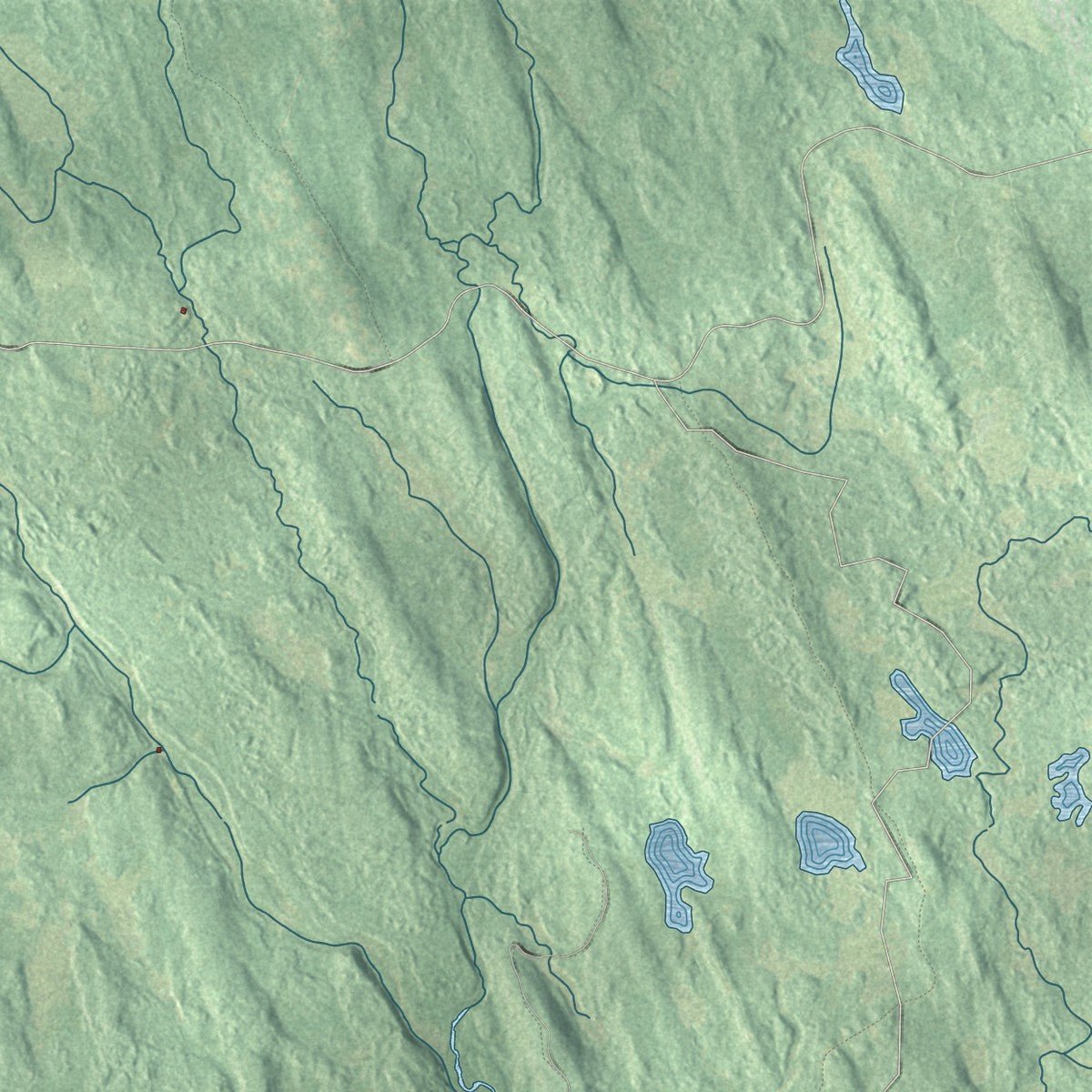 Second close-up of the map of Osceola, New York print showing more streets and buildings