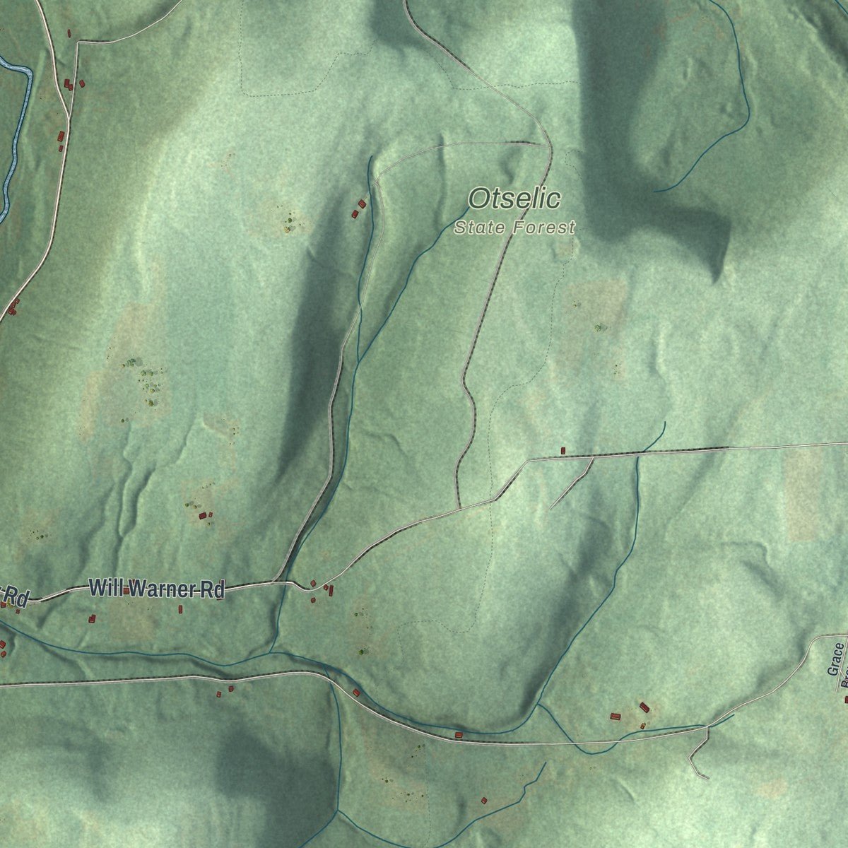 Second close-up of the map of Otselic, New York print showing more streets and buildings