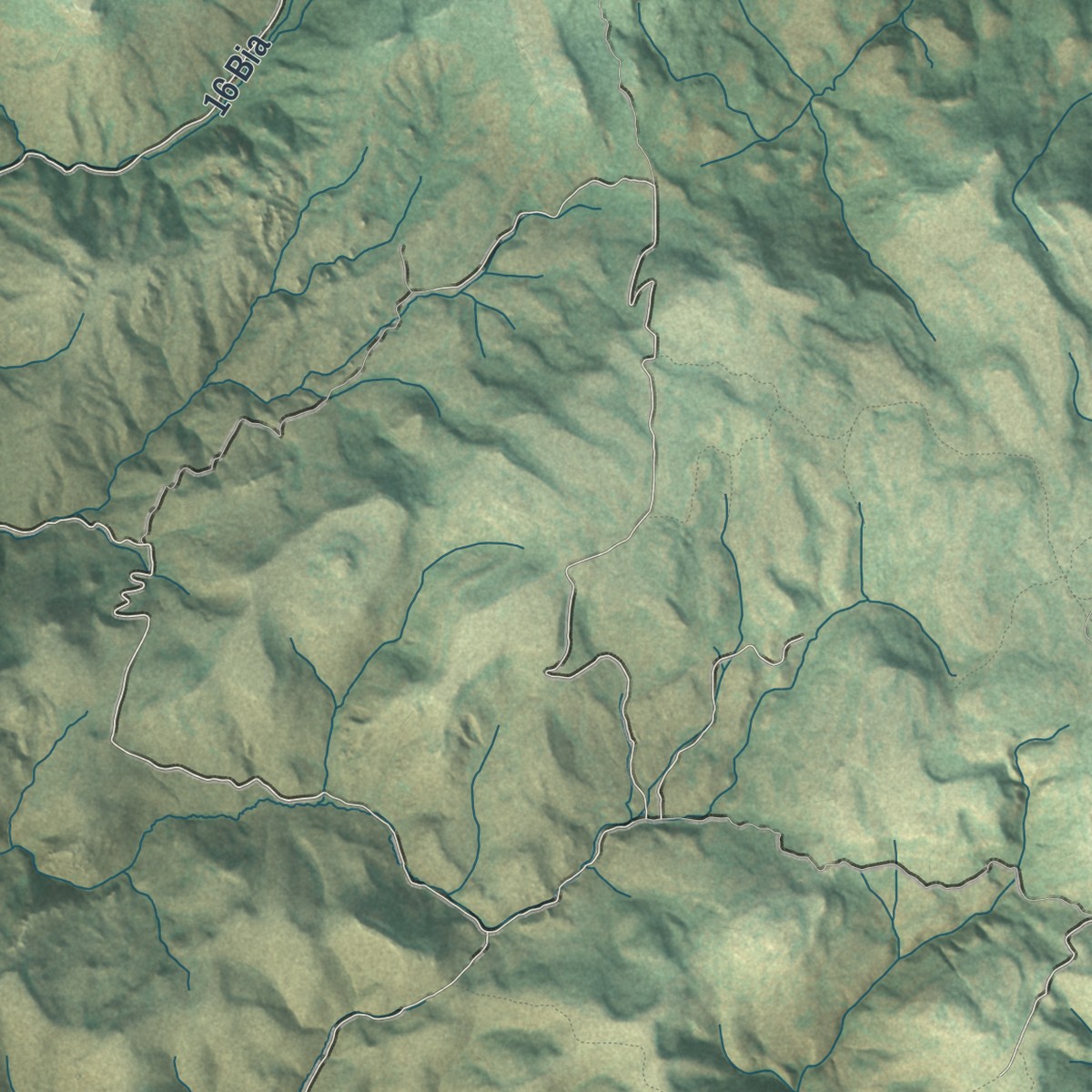 Second close-up of the map of Owyhee, Nevada print showing more streets and buildings
