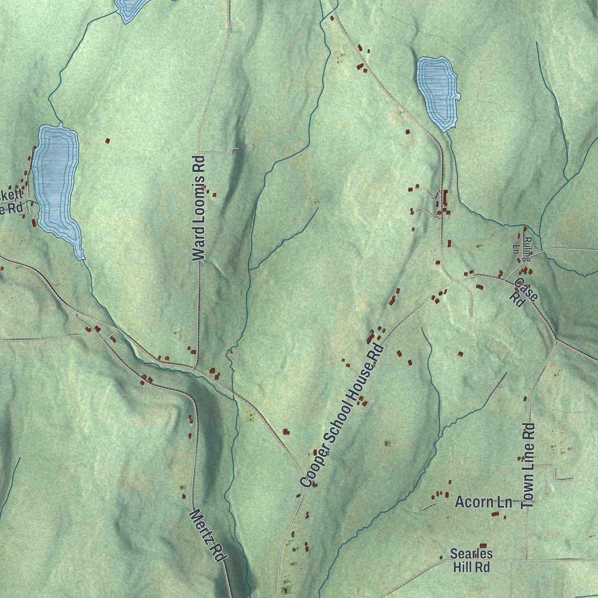 Second close-up of the map of Oxford, New York print showing more streets and buildings