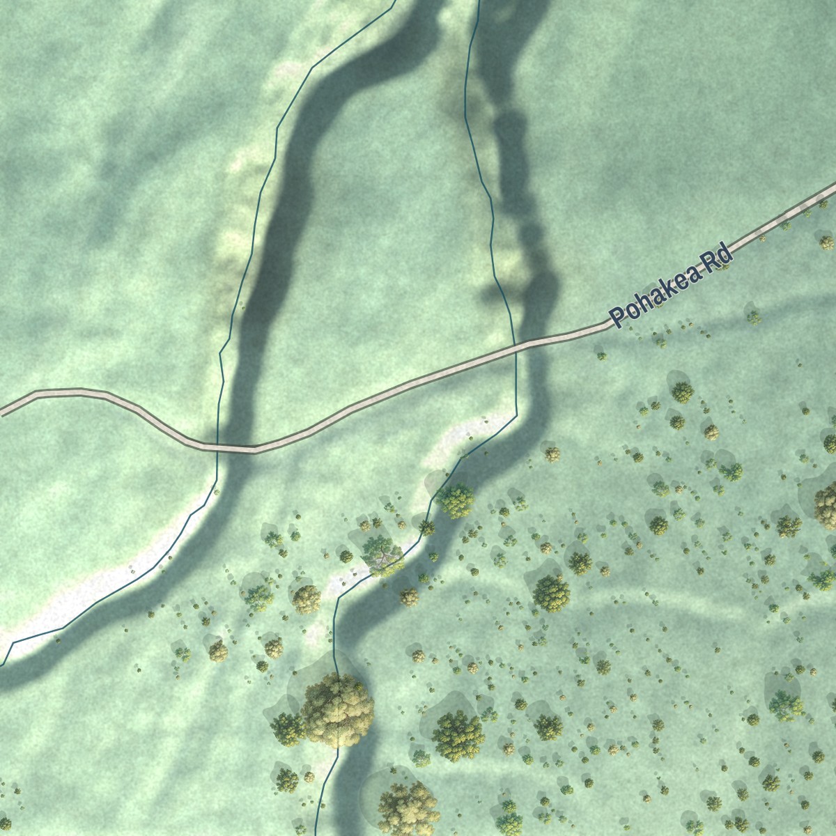 Second close-up of the map of Paauilo, Hawaii print showing more streets and buildings
