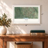 Pace, Florida map, 12 x 18 inch print in a white frame in an entryway