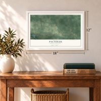 Pactolus, North Carolina map, 12 x 18 inch print in a white frame in an entryway