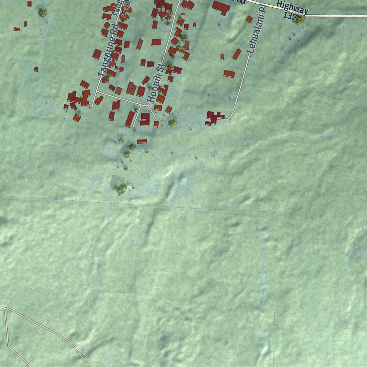 Second close-up of the map of Pahoa, Hawaii print showing more streets and buildings