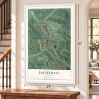 Painesdale, Michigan map, 24 x 36 inch print in a white frame by a staircase