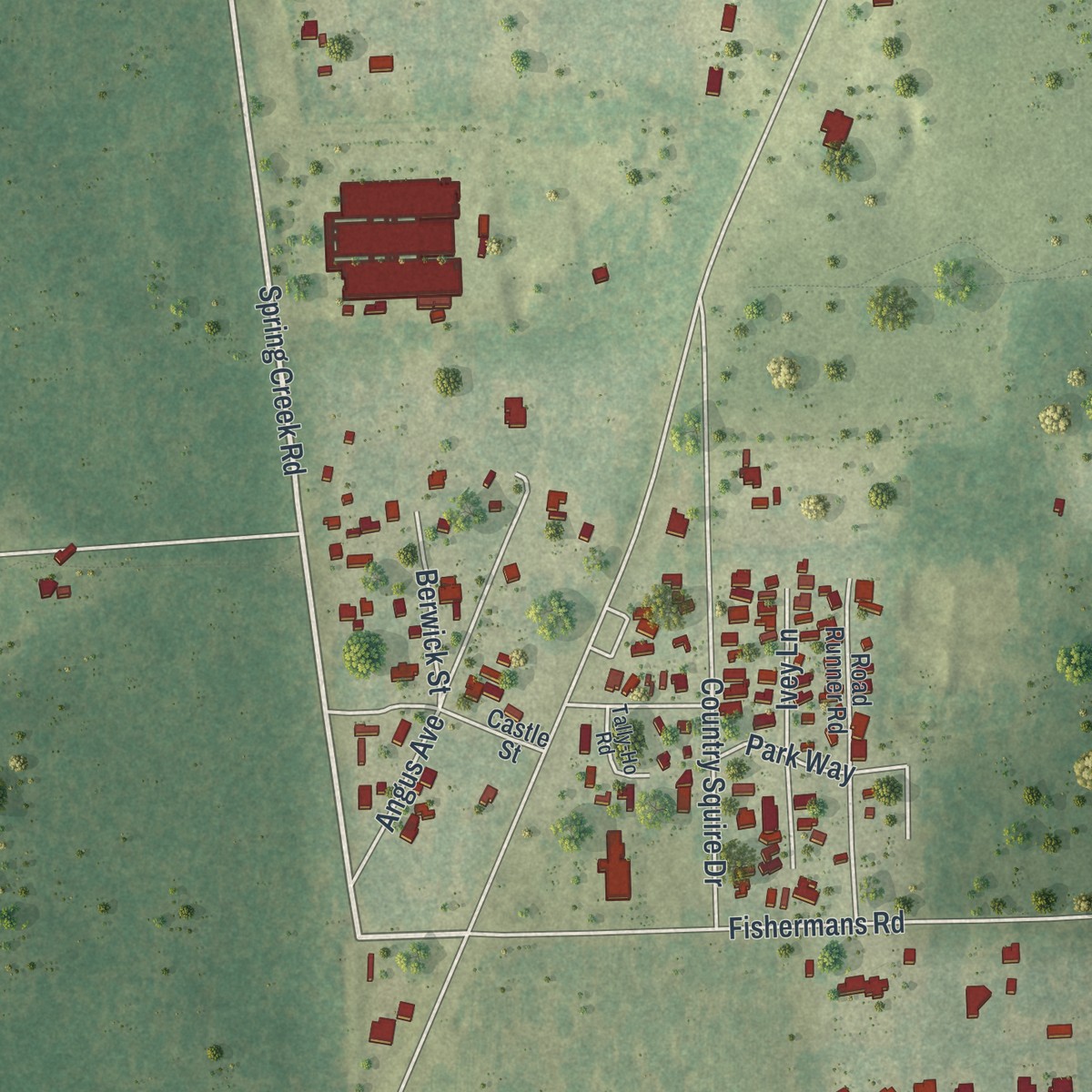 Second close-up of the map of Paisley, Florida print showing more streets and buildings