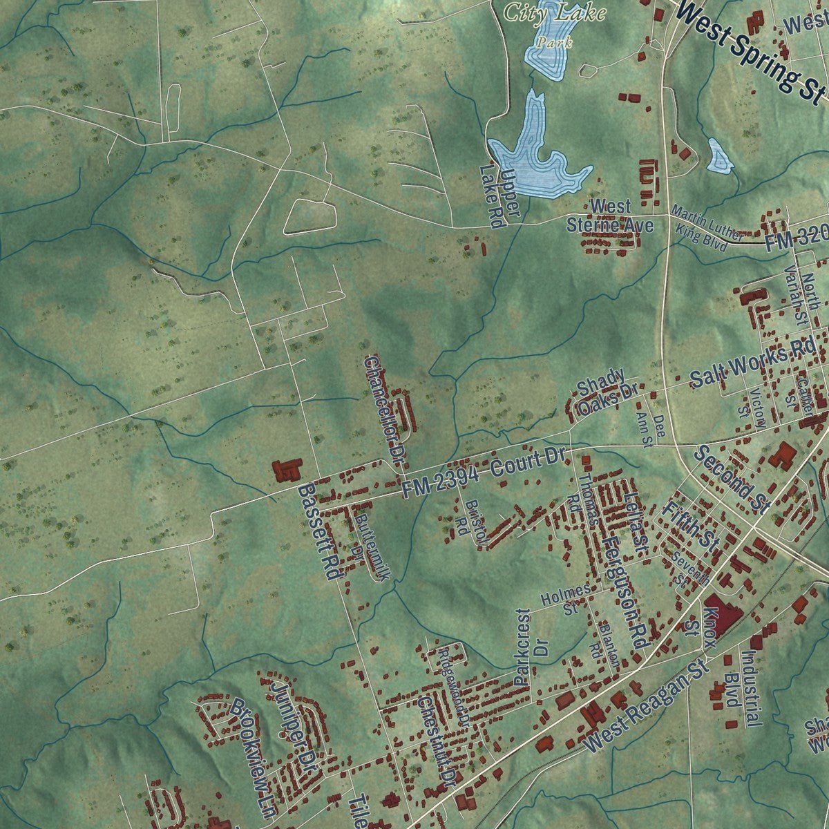 Second close-up of the map of Palestine, Texas print showing more streets and buildings