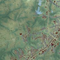 Second close-up of the map of Palestine, Texas print showing more streets and buildings