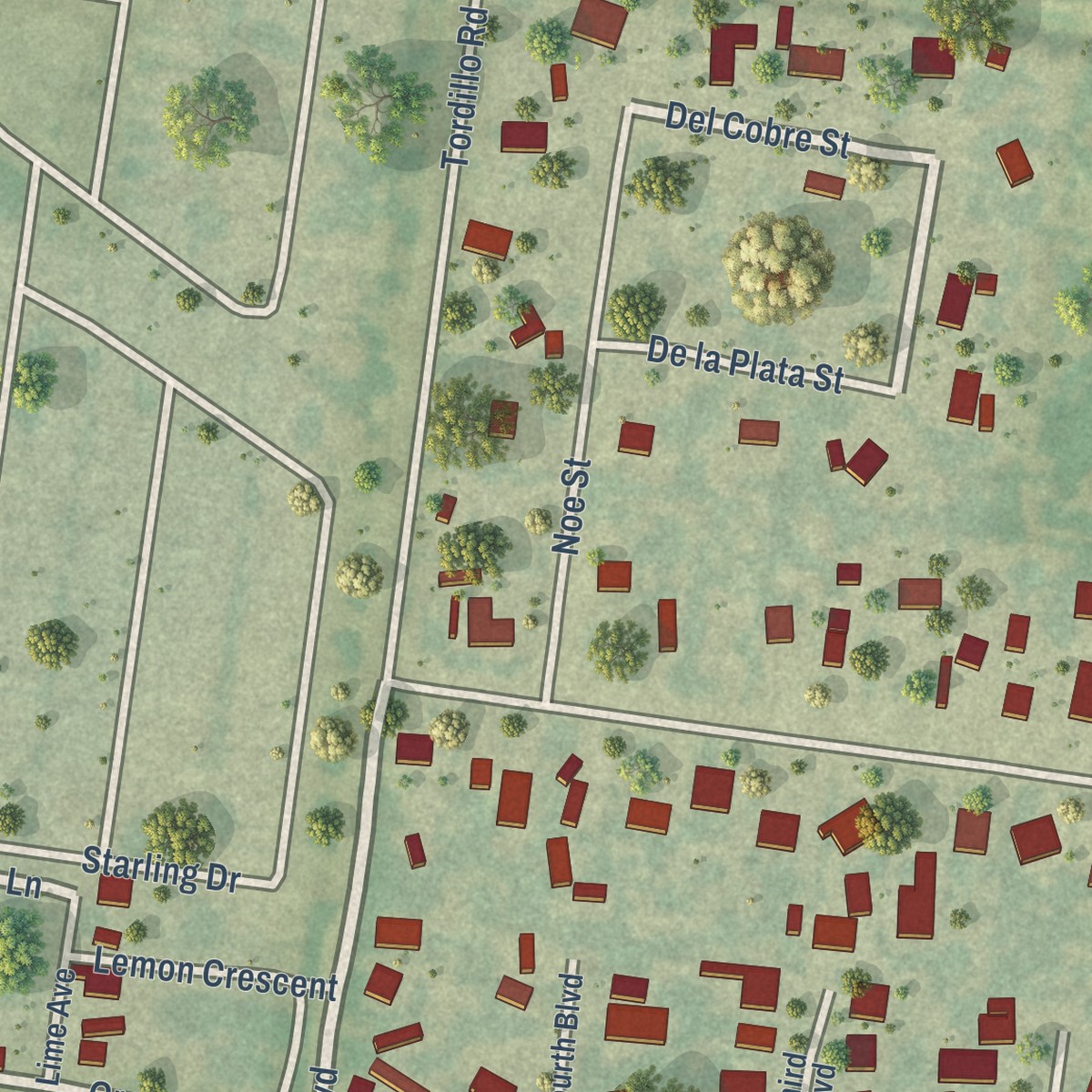 Second close-up of the map of Palmview South, Texas print showing more streets and buildings