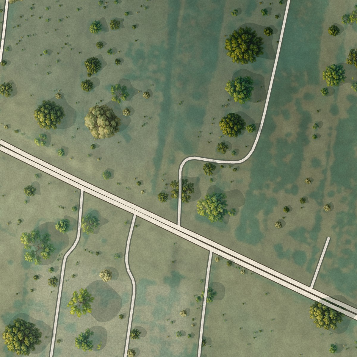 Second close-up of the map of Palo Blanco, Texas print showing more streets and buildings