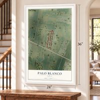 Palo Blanco, Texas map, 24 x 36 inch print in a white frame by a staircase