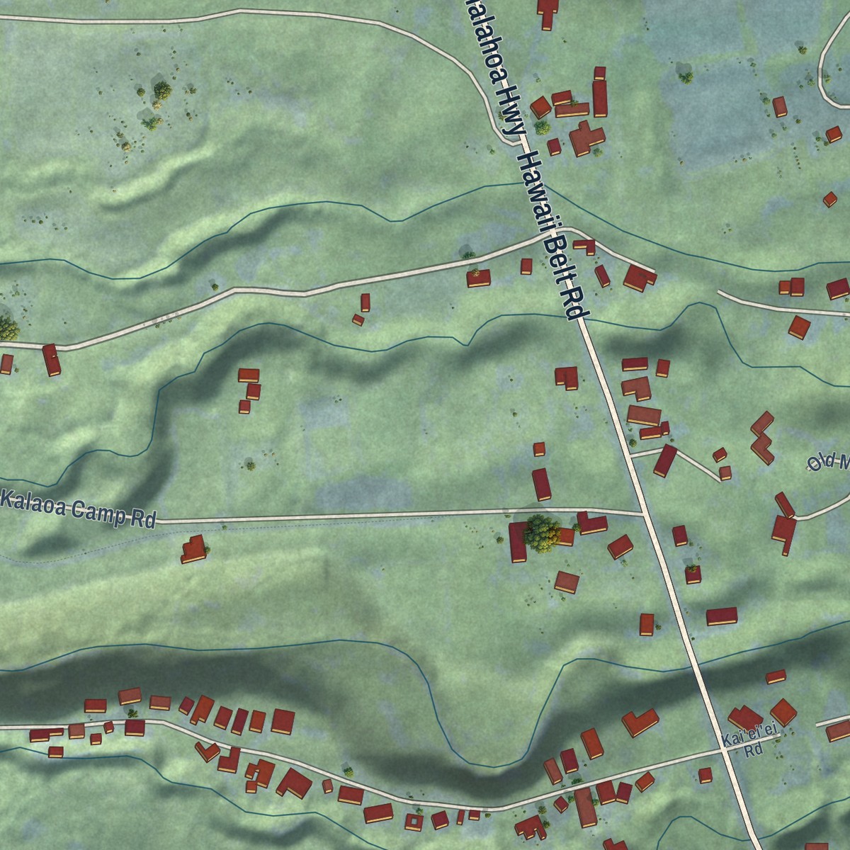 Second close-up of the map of Papaikou, Hawaii print showing more streets and buildings