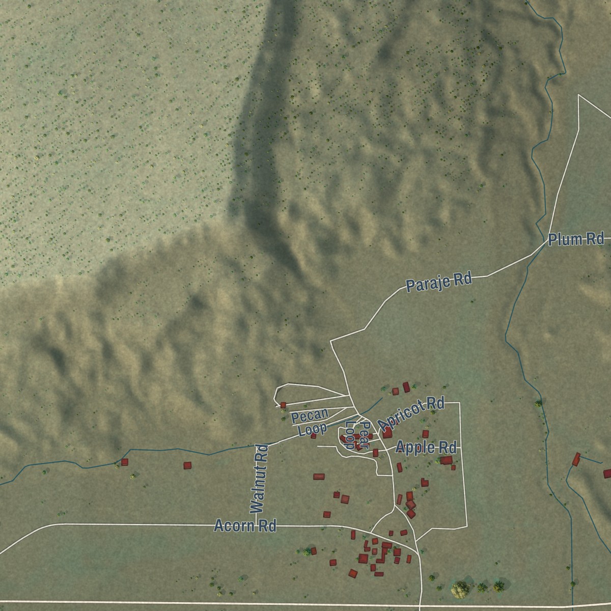 Second close-up of the map of Paraje, New Mexico print showing more streets and buildings