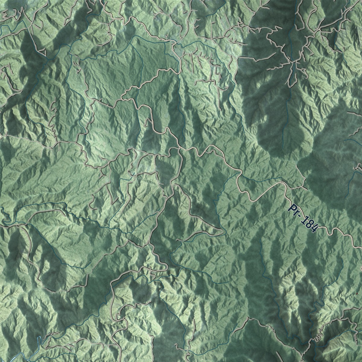 Second close-up of the map of Patillas, Puerto Rico print showing more streets and buildings