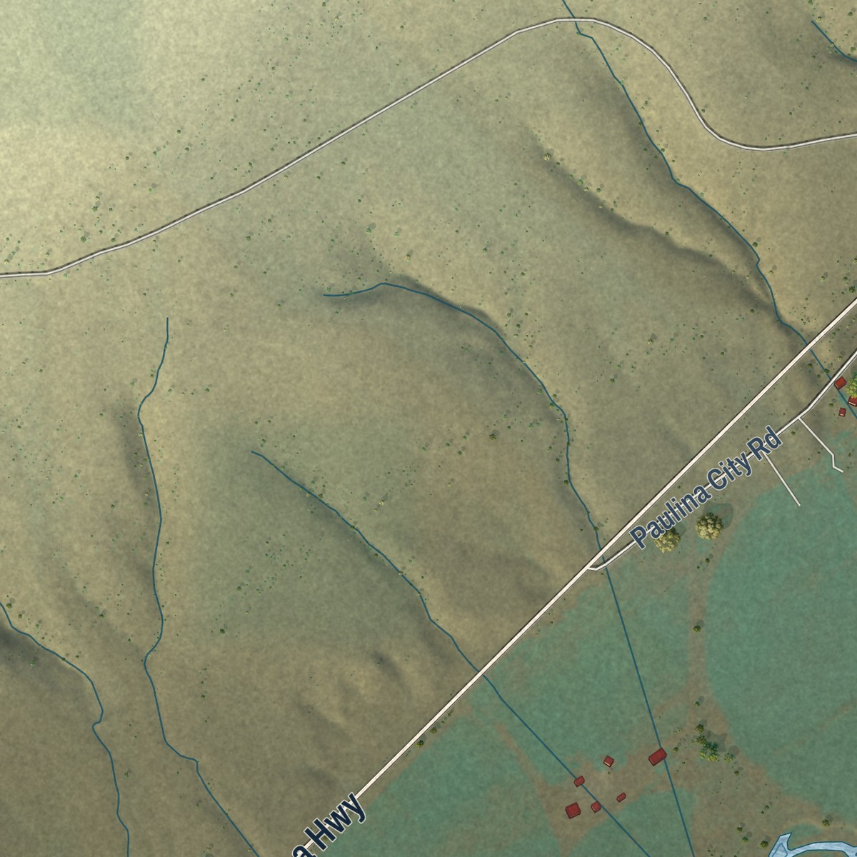 Second close-up of the map of Paulina, Oregon print showing more streets and buildings