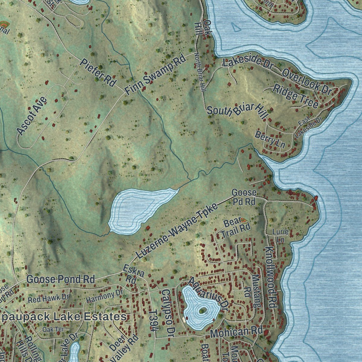 Second close-up of the map of Paupack, Pennsylvania print showing more streets and buildings