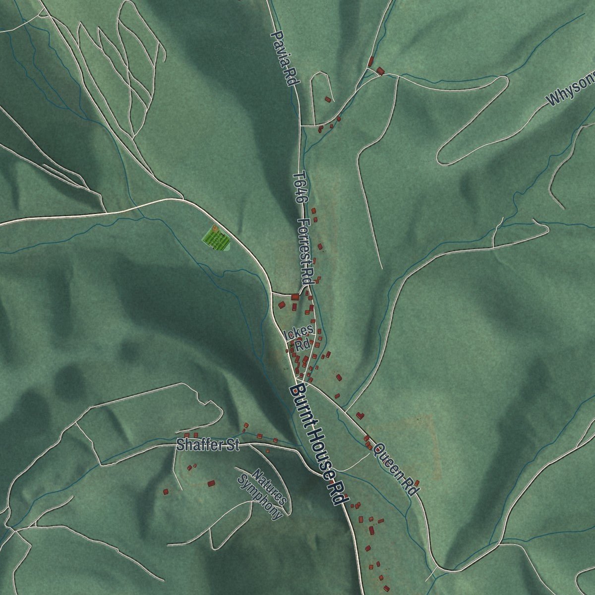 Second close-up of the map of Pavia, Pennsylvania print showing more streets and buildings