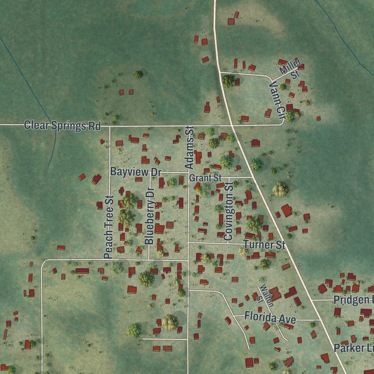 Second close-up of the map of Paxton, Florida print showing more streets and buildings