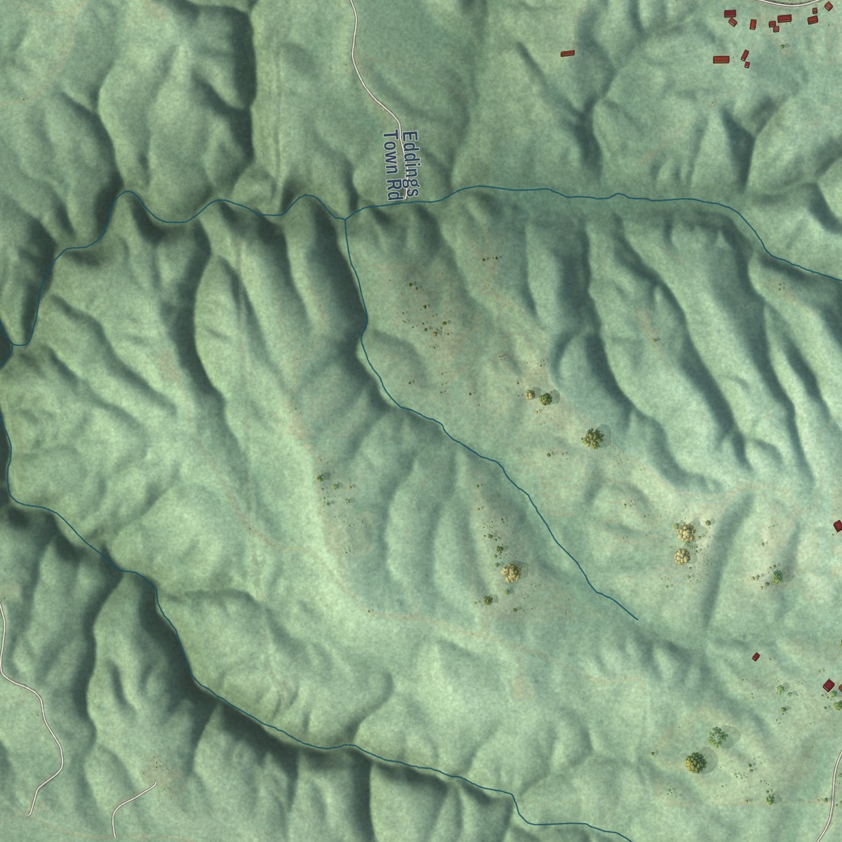 Second close-up of the map of Pea Ridge, Alabama print showing more streets and buildings