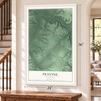 Peavine, Oklahoma map, 24 x 36 inch print in a white frame by a staircase
