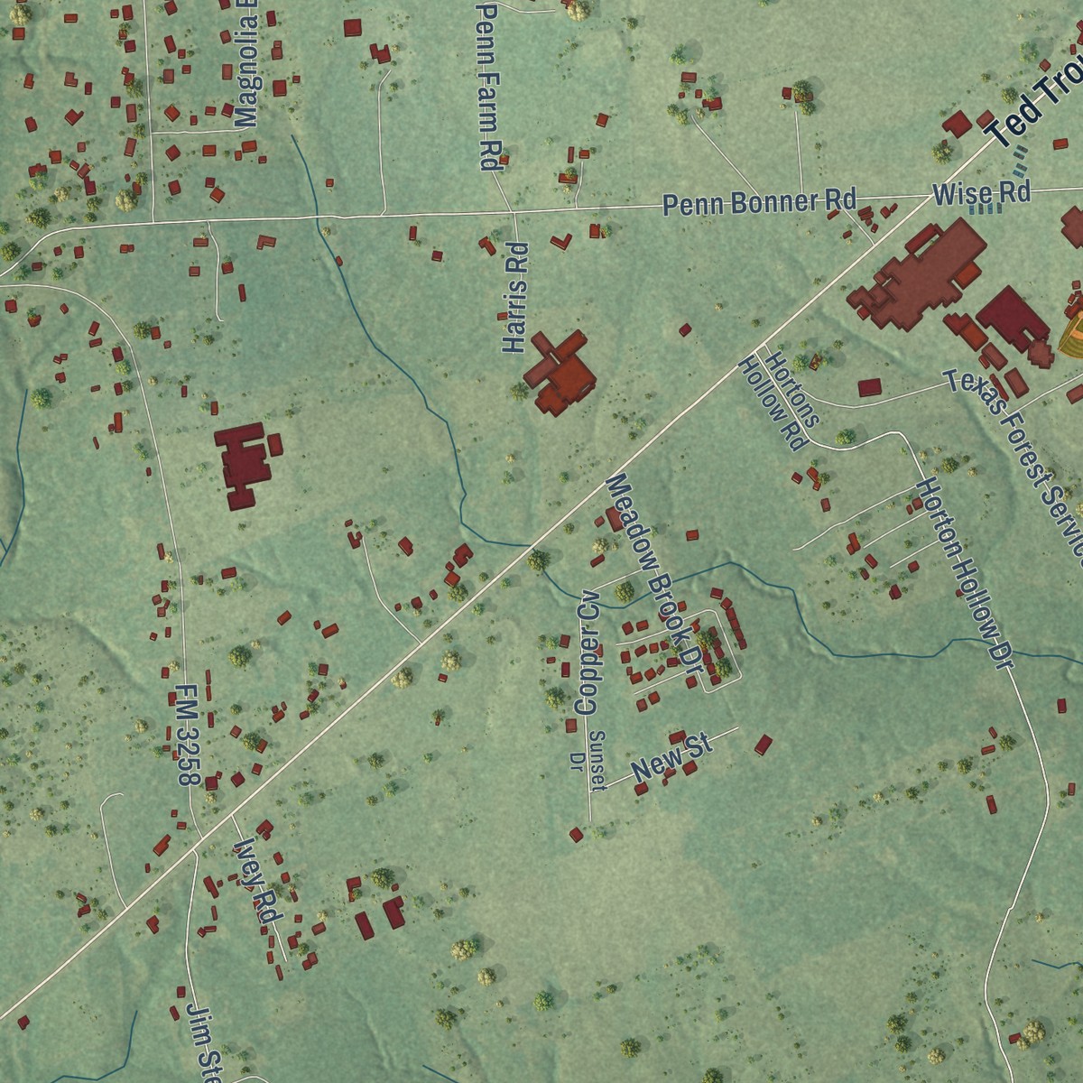Second close-up of the map of Peavy, Texas print showing more streets and buildings