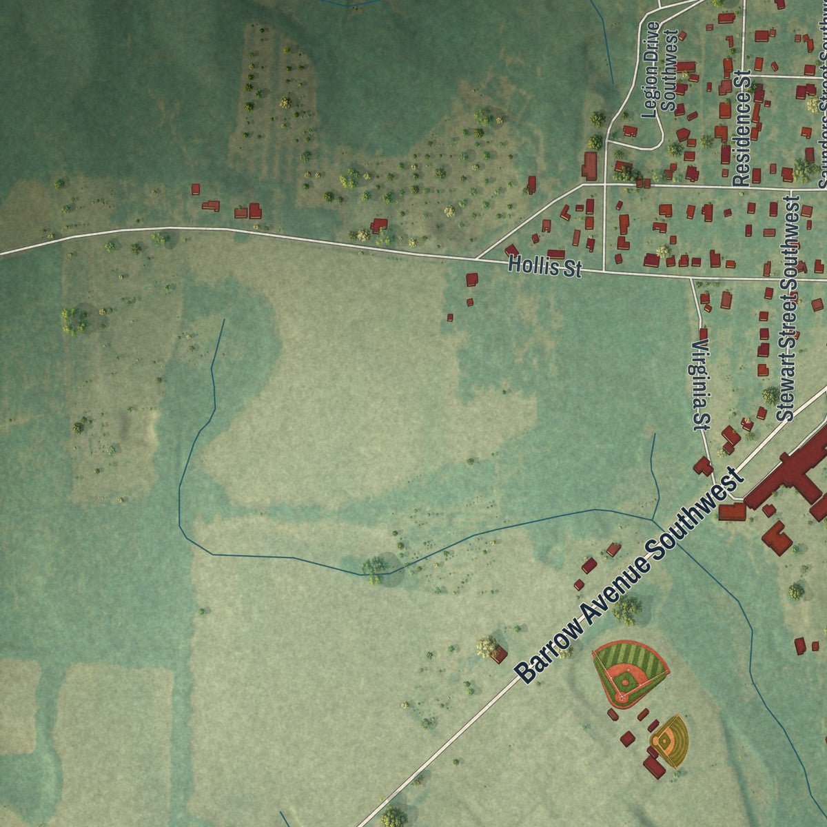 Second close-up of the map of Pelham, Georgia print showing more streets and buildings