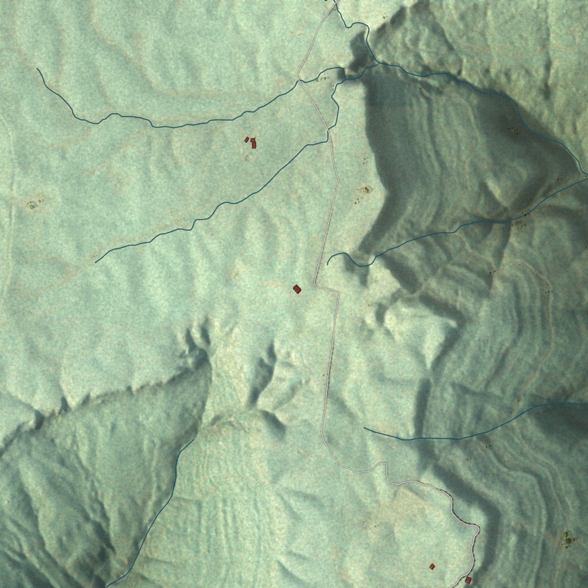 Second close-up of the map of Pelham, Tennessee print showing more streets and buildings