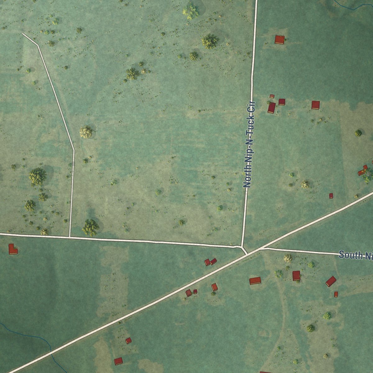 Second close-up of the map of Perrytown, Arkansas print showing more streets and buildings